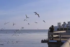 สถานตากอากาศบางปู