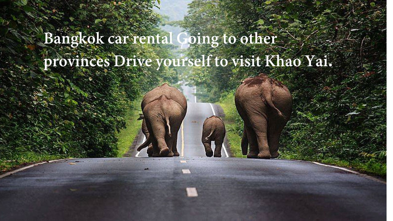 Rent a car in Bangkok{sbquo} go to other provinces{sbquo} drive yourself to Khao Yai