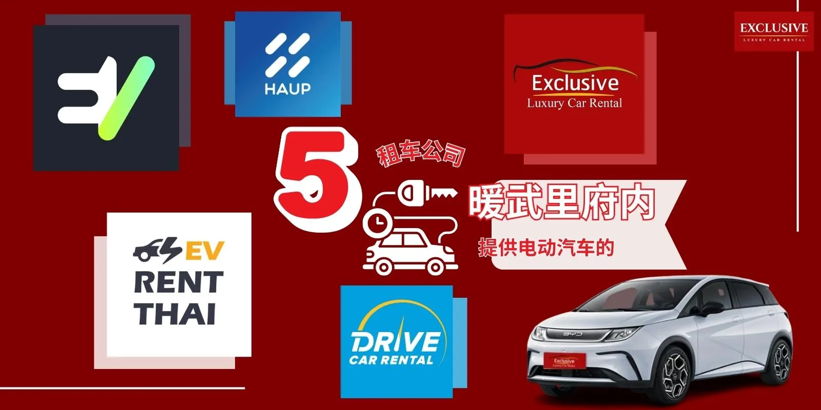 无论您选择自驾还是代驾服务，都能在我们维护良好的电动车队中尽享卓越的电动出行体验。