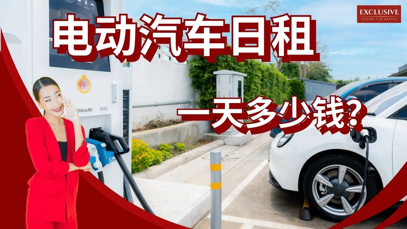 每天和我们一起买电动车。多少钱？