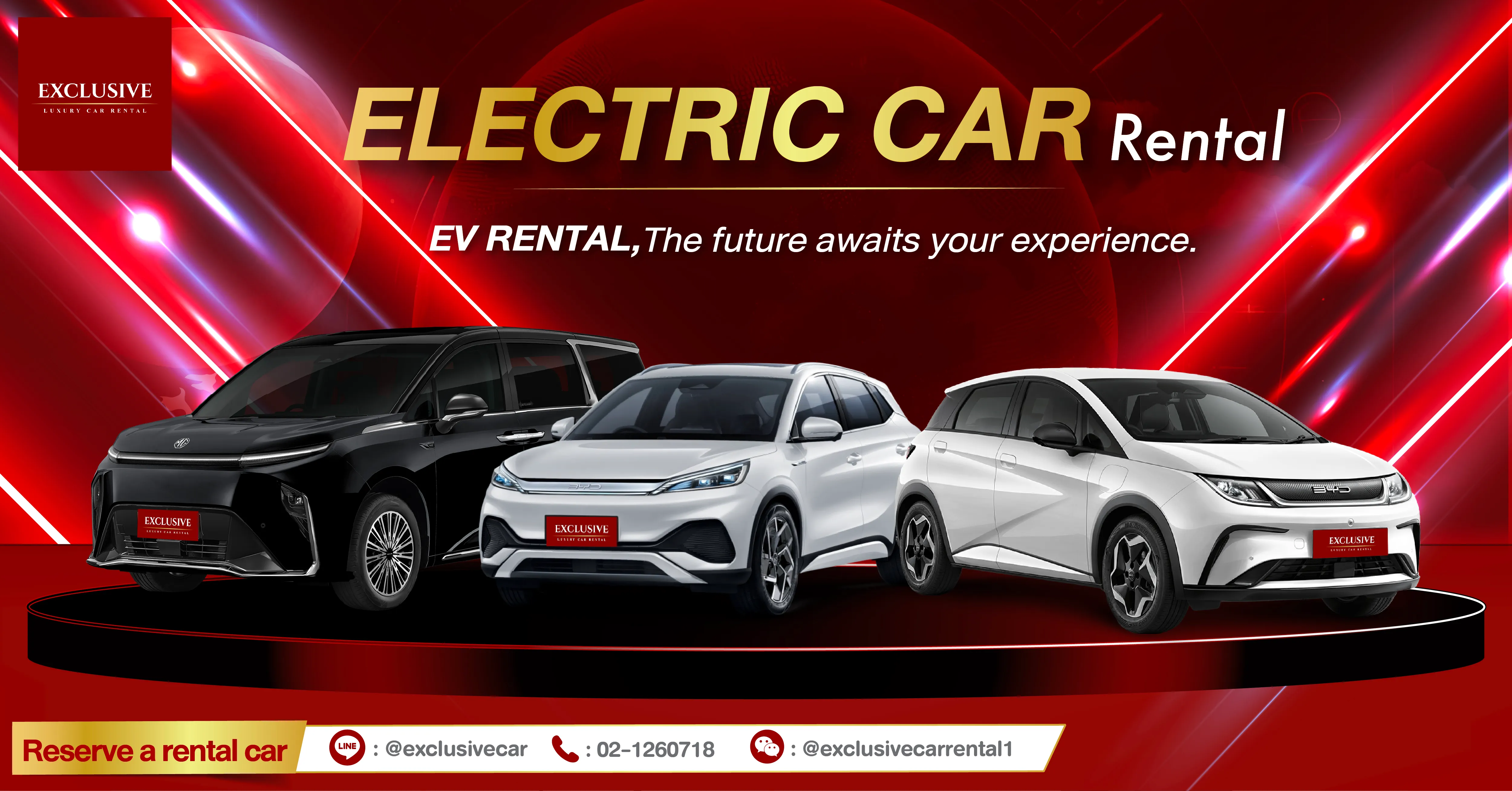 Electric car rental