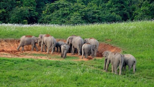 Rent a car to Khao Yai National Park