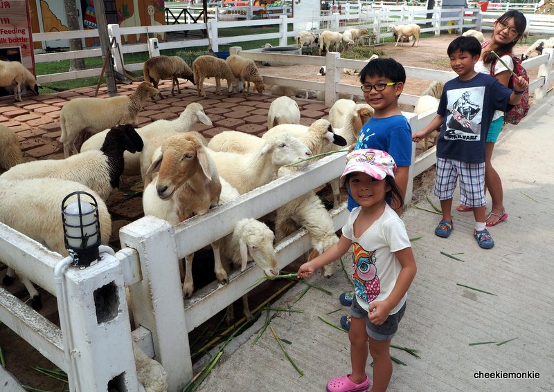 Family Park Pattaya
