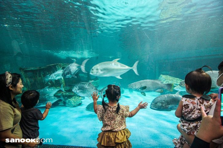Bang Saen Aquarium