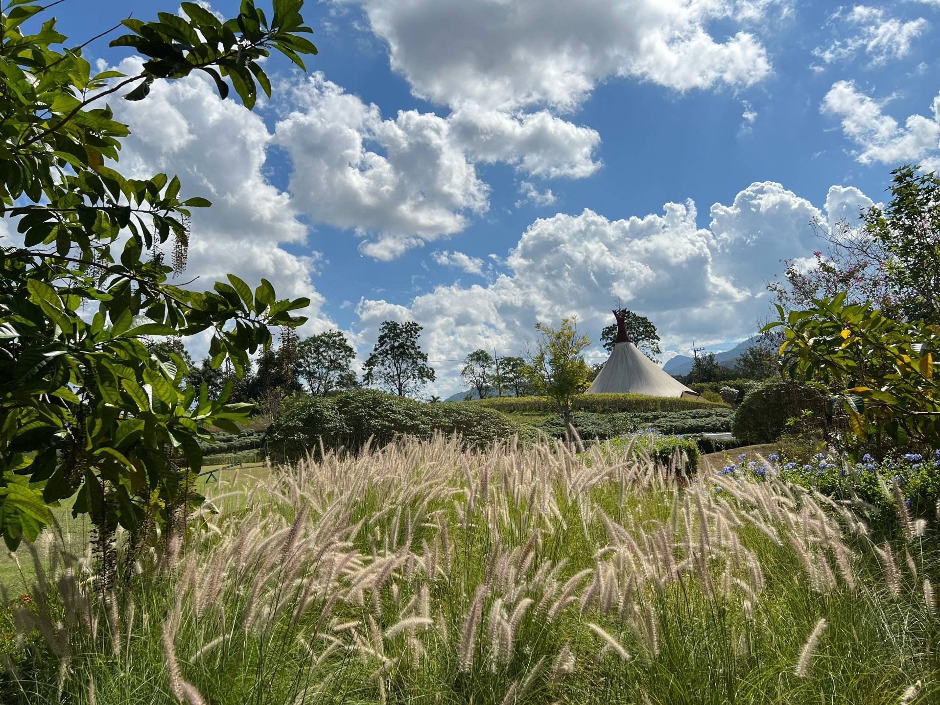 Rent a car to travel to Khao Yai with Exclusive Car