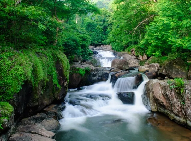 เช่ารถรังสิต เที่ยวน้ำตกวังตะไคร้