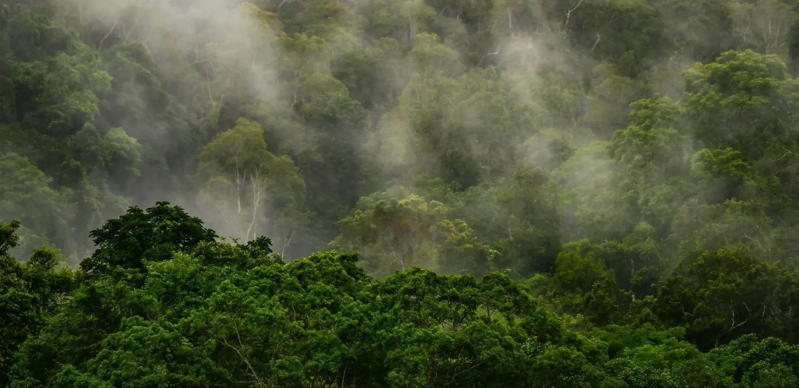 เช่ารถตู้ เที่ยว เขาใหญ่