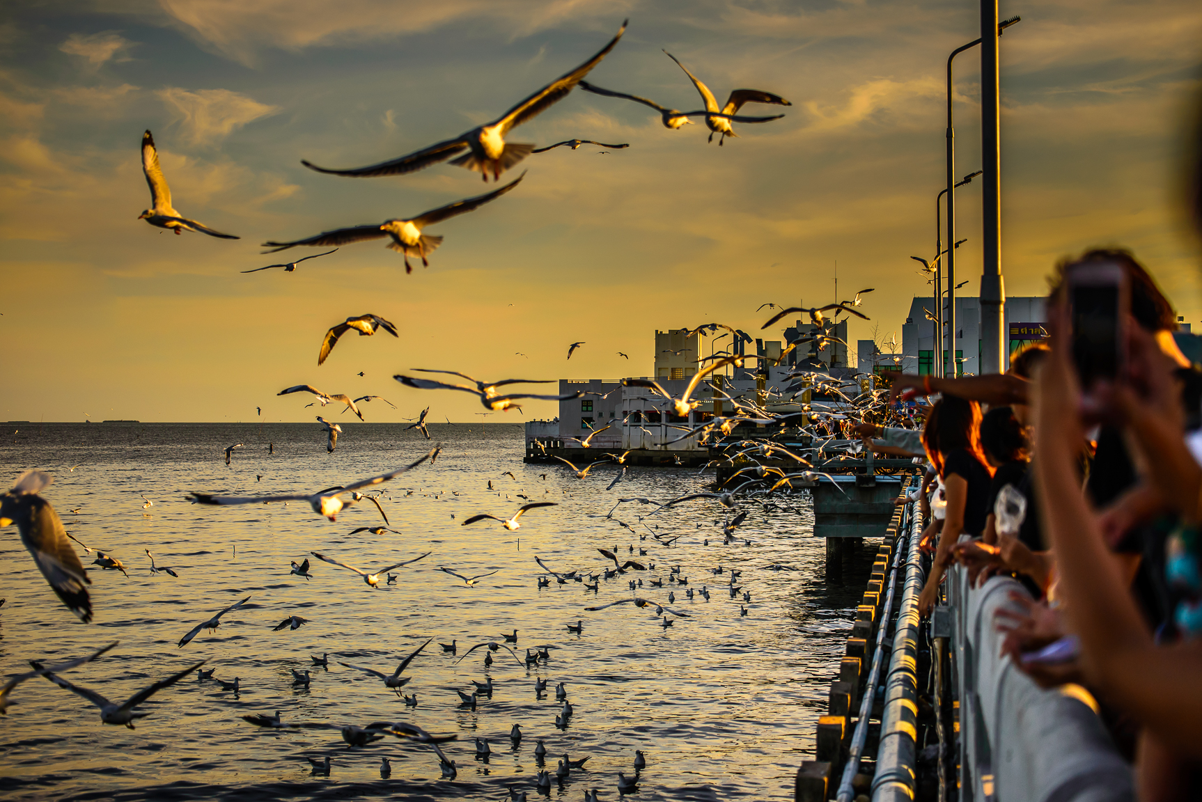 ที่มาภาพ: https://www.thailandtourismdirectory.
